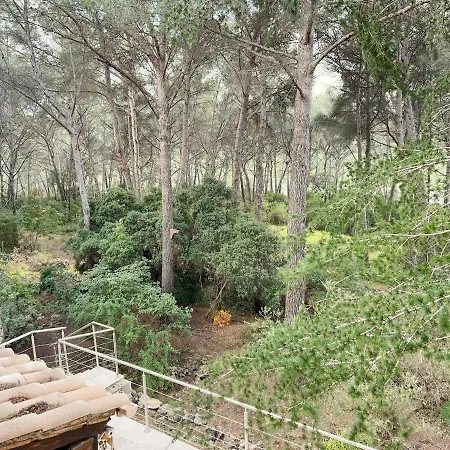 Villa Maison Familiale A Sanary, En Pleine Pinede Sanary-sur-Mer