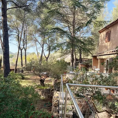 Villa Maison Familiale A Sanary, En Pleine Pinede