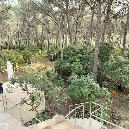 Maison Familiale A Sanary, En Pleine Pinede Villa *