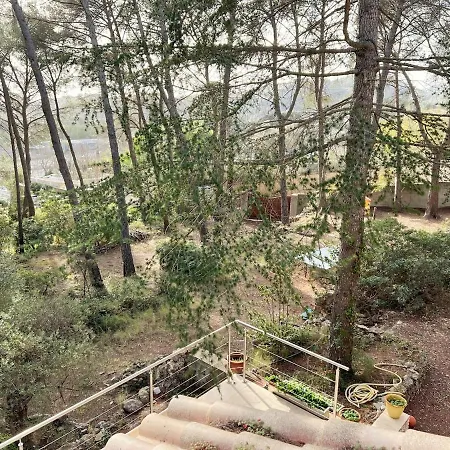 Villa Maison Familiale A Sanary, En Pleine Pinede