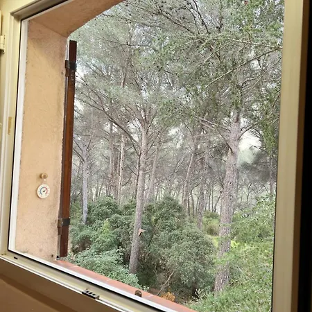 Maison Familiale A Sanary, En Pleine Pinede *