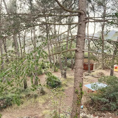 Maison Familiale A Sanary, En Pleine Pinede Sanary-sur-Mer